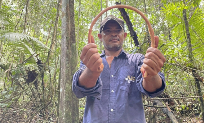 ASN Amapá - Agência Sebrae de Notícias