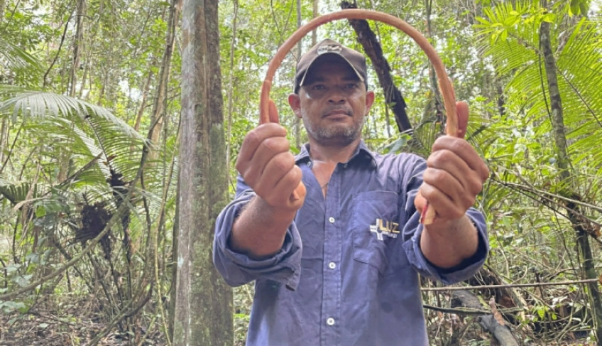 ASN Amapá - Agência Sebrae de Notícias