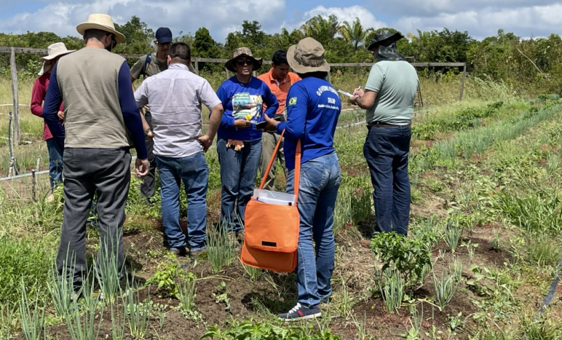 ASN Amapá - Agência Sebrae de Notícias