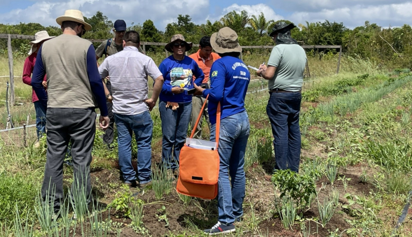 ASN Amapá - Agência Sebrae de Notícias