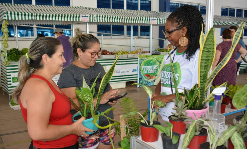 ASN Amapá - Agência Sebrae de Notícias