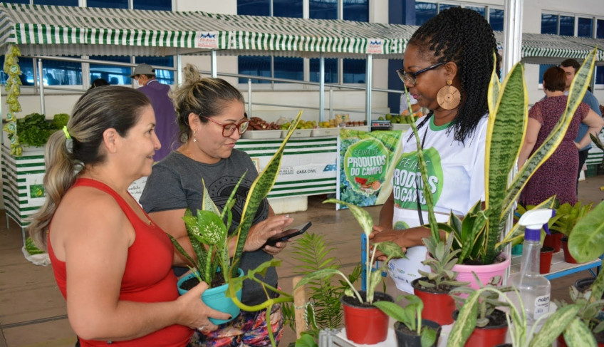 ASN Amapá - Agência Sebrae de Notícias