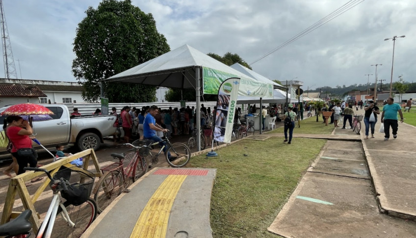 ASN Amapá - Agência Sebrae de Notícias