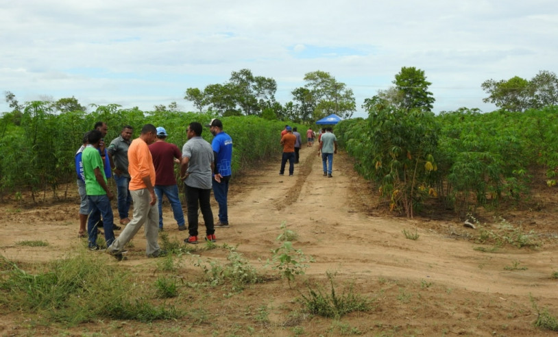 ASN Amapá - Agência Sebrae de Notícias