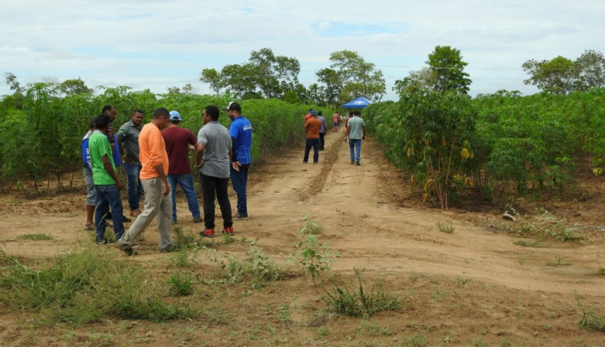 ASN Amapá - Agência Sebrae de Notícias