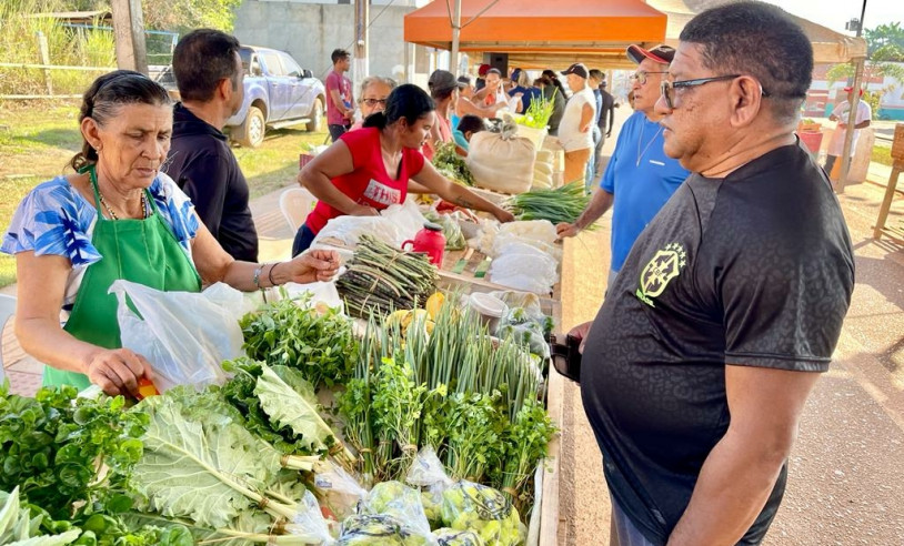 ASN Amapá - Agência Sebrae de Notícias