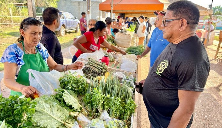 ASN Amapá - Agência Sebrae de Notícias