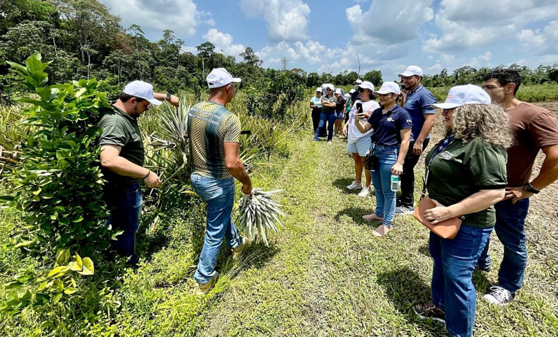 ASN Amapá - Agência Sebrae de Notícias