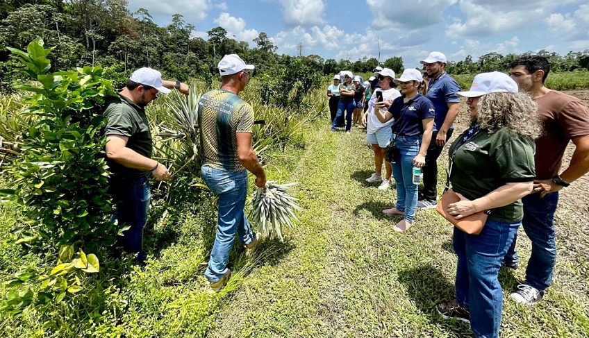 ASN Amapá - Agência Sebrae de Notícias