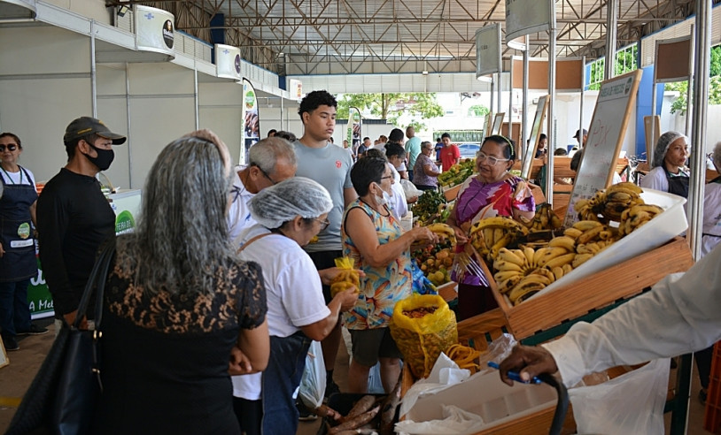 ASN Amapá - Agência Sebrae de Notícias