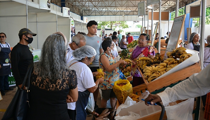 ASN Amapá - Agência Sebrae de Notícias