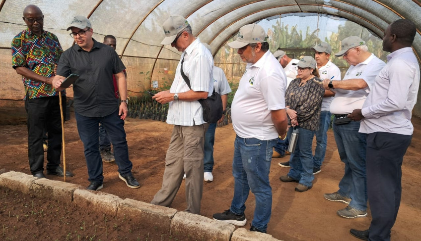 ASN Amapá - Agência Sebrae de Notícias