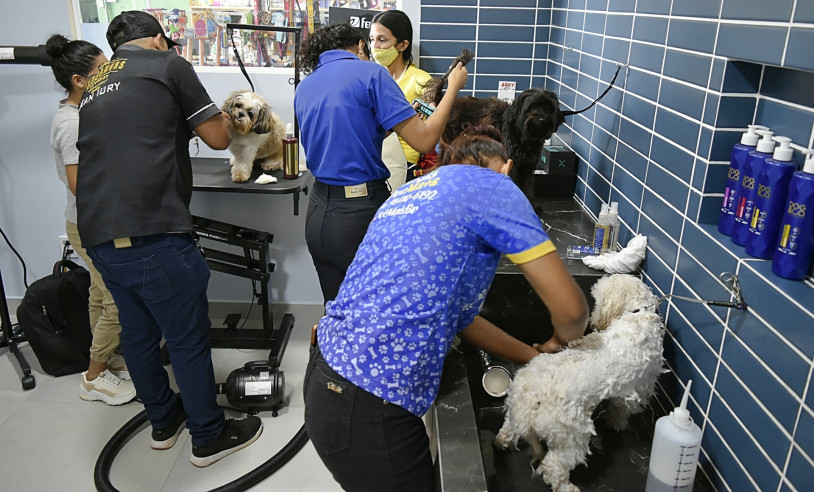 ASN Amapá - Agência Sebrae de Notícias