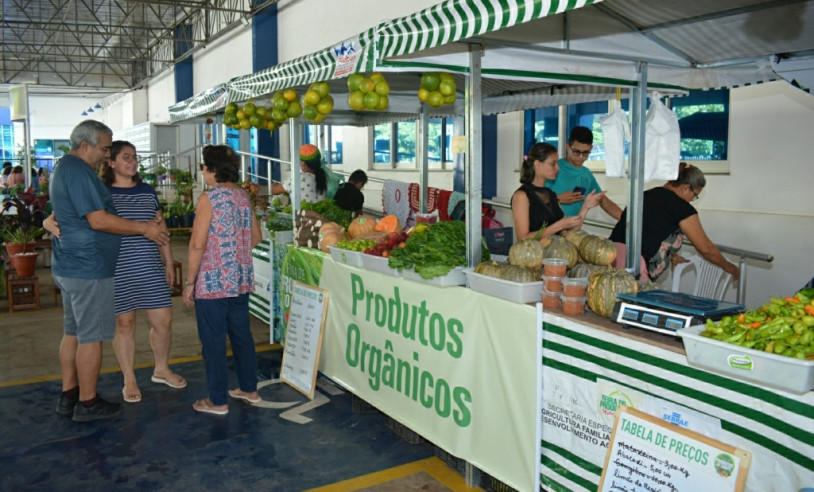 ASN Amapá - Agência Sebrae de Notícias