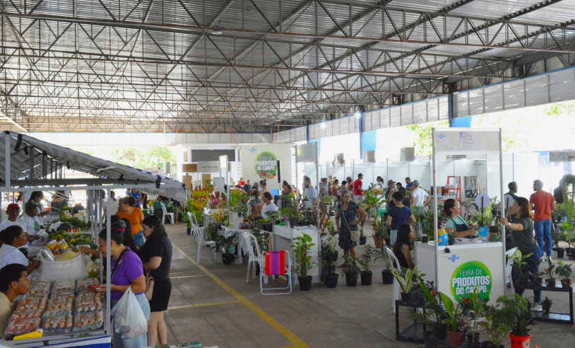 ASN Amapá - Agência Sebrae de Notícias