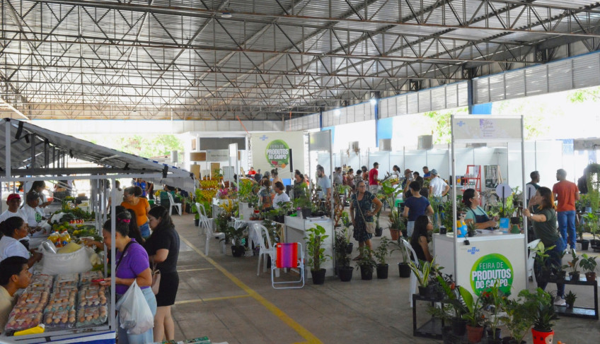 ASN Amapá - Agência Sebrae de Notícias