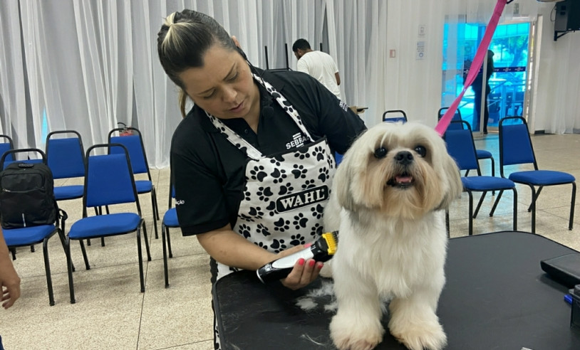 ASN Amapá - Agência Sebrae de Notícias