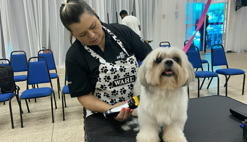 ASN Amapá - Agência Sebrae de Notícias