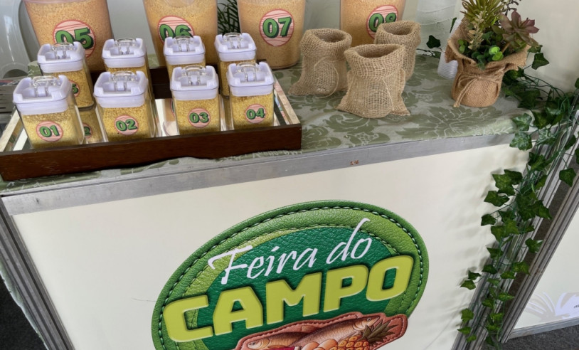ASN Amapá - Agência Sebrae de Notícias