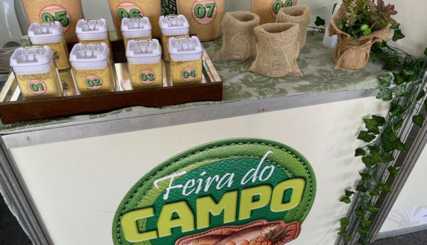 ASN Amapá - Agência Sebrae de Notícias