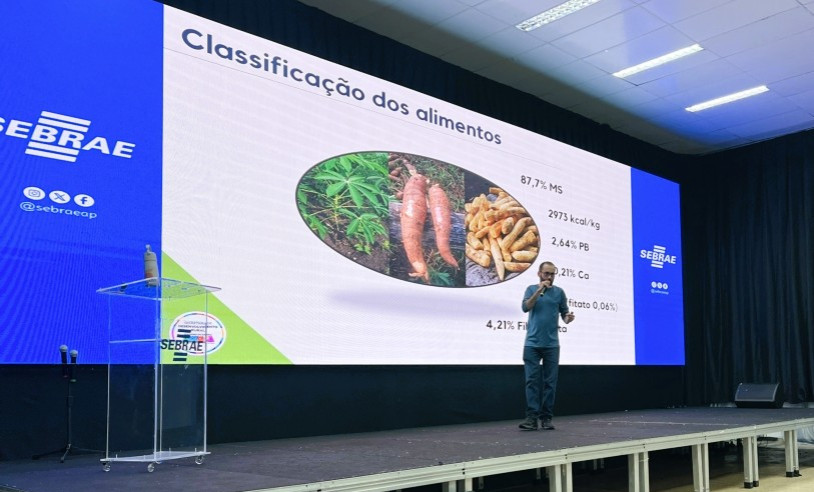 ASN Amapá - Agência Sebrae de Notícias