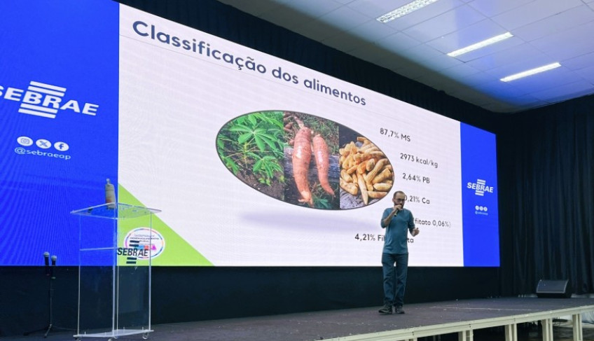 ASN Amapá - Agência Sebrae de Notícias