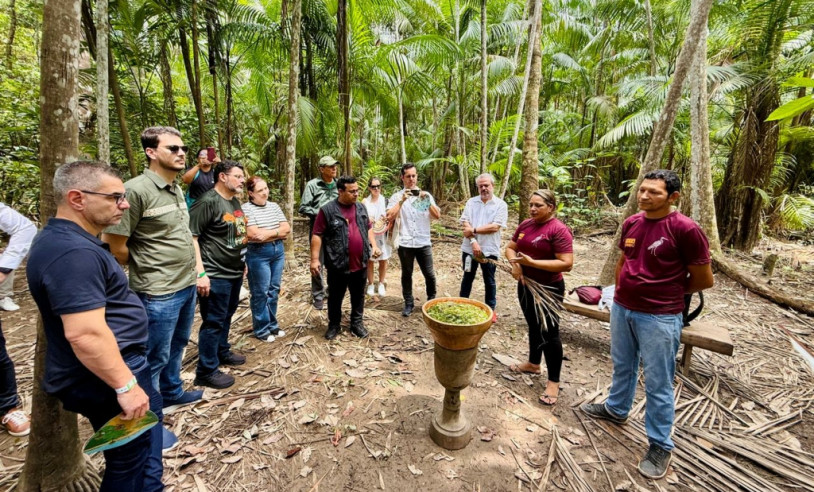 ASN Amapá - Agência Sebrae de Notícias