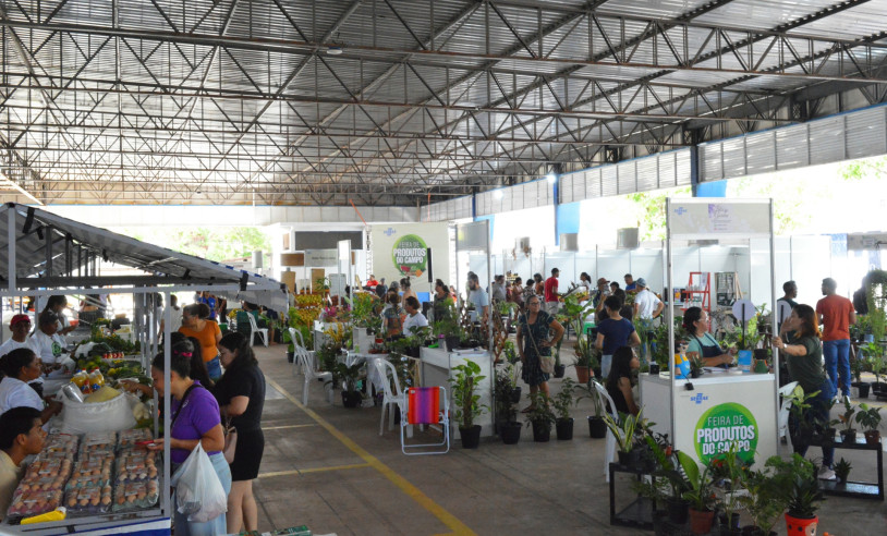 ASN Amapá - Agência Sebrae de Notícias