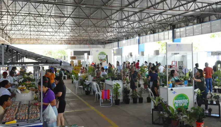 ASN Amapá - Agência Sebrae de Notícias