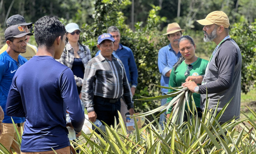 ASN Amapá - Agência Sebrae de Notícias
