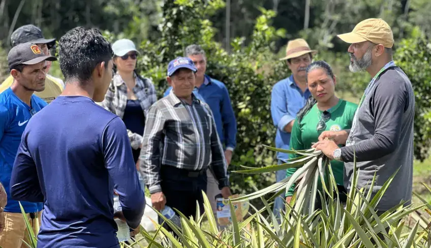 ASN Amapá - Agência Sebrae de Notícias