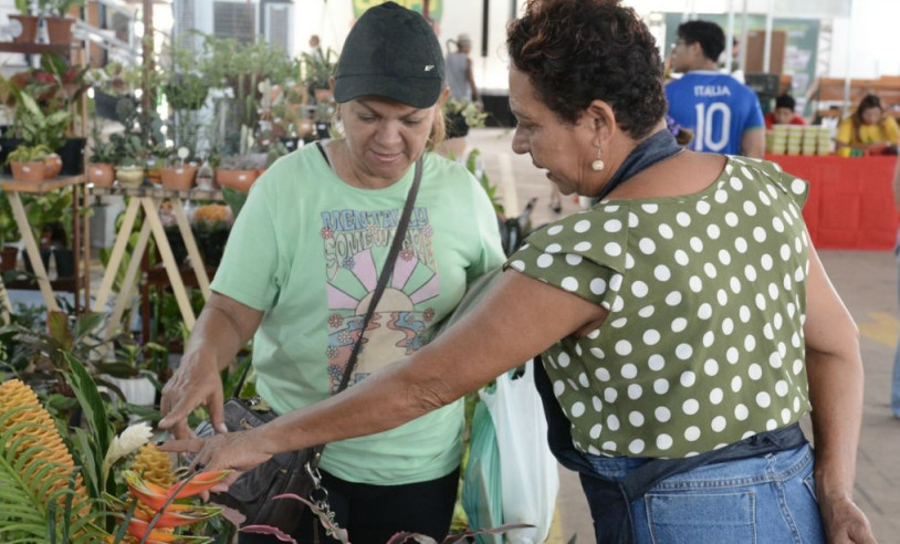 ASN Amapá - Agência Sebrae de Notícias