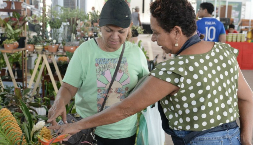 ASN Amapá - Agência Sebrae de Notícias
